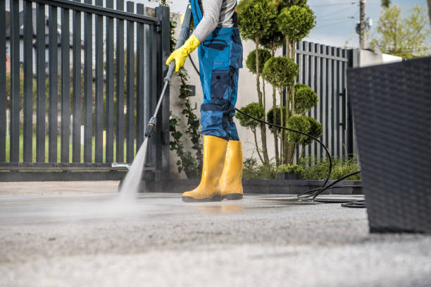 Best Soft Washing for Delicate Surfaces in Siena College, NY